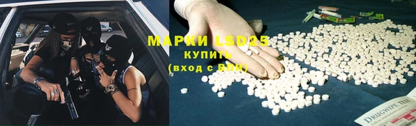 гашик Осташков